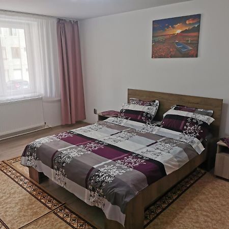 Apartament Bucovina Daire Câmpulung Moldovenesc Dış mekan fotoğraf