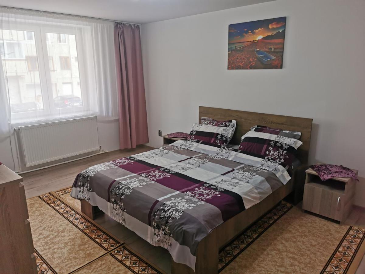 Apartament Bucovina Daire Câmpulung Moldovenesc Dış mekan fotoğraf