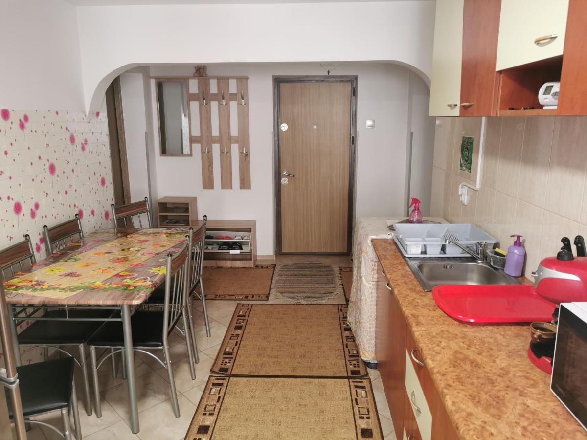 Apartament Bucovina Daire Câmpulung Moldovenesc Dış mekan fotoğraf